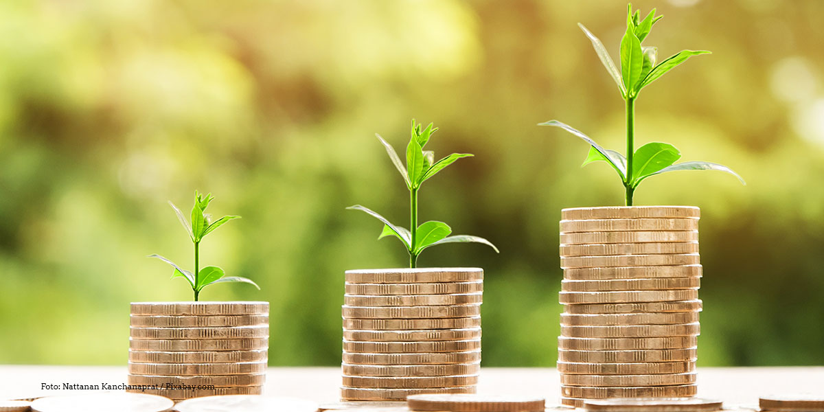 KI generiert: Das Bild zeigt drei wachsende Stapel von Münzen, aus denen jeweils ein Pflänzchen wächst, was symbolisch für finanzielle Investitionen und Wachstum steht. Die Münzstapel sind unterschiedlich hoch und vermitteln eine Entwicklung oder einen Anstieg.