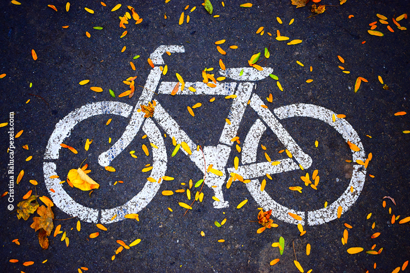 KI generiert: Das Bild zeigt ein auf den Boden gemaltes Fahrrad-Symbol, das von Herbstblättern umgeben ist. Der Hauptinhalt ist die Verbindung von Natur und städtischer Infrastruktur.